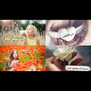 Meet your Posher, Wafa